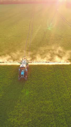 Farming in ecological area, machinery moving on farmland in summer day, aerial view. Irrigation system on agricultural field, beautiful sunshine above farmland, growing corn, wheat or rye for food