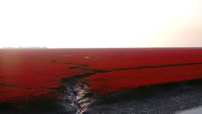 Visit Panjin Red Beach at sunset for stunning wetland views - Powered by Shutterstock - Get 15% off with code: PIKWIZARD15