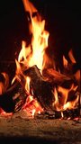 Vertical video of Cozy Fireplace with Burning Logs, A warm fire blazes in a rustic stone fireplace, with glowing embers and vertical flames. - Powered by Shutterstock - Get 15% off with code: PIKWIZARD15