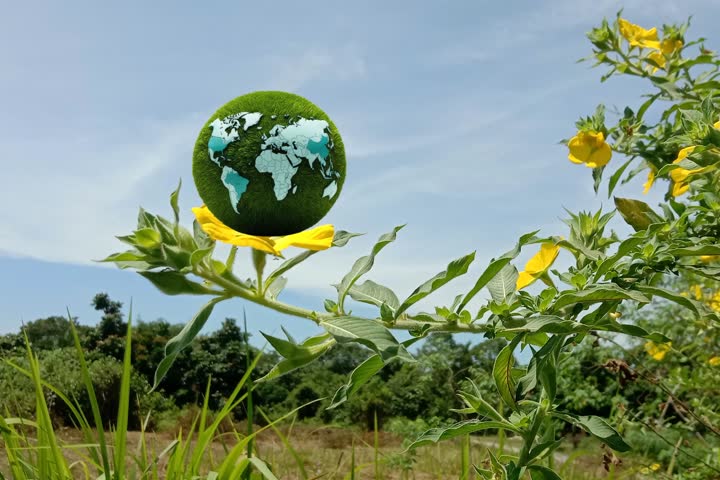 Renewable Energy. World grass ball with renewable energy source icons for sustainable development, green energy, clean energy in nature, eco-friendly and environmentally friendly concepts