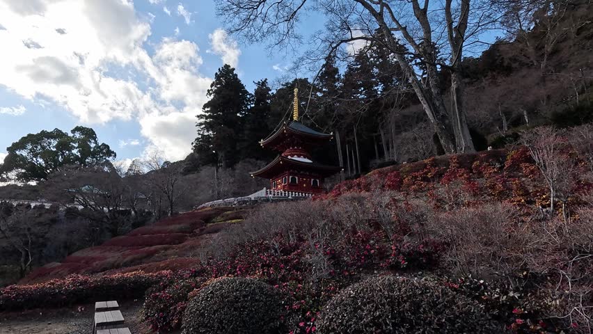 Tea teracces in fron to Taho Pagoda in Katsuouji Temple in Osaka stands above terraced autumn gardens, framed by seasonal foliage and a partly cloudy sky. Minho National Park near Osaka, Japan