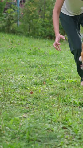 A joyful Shiba Inu running towards its owner in a lush green park, showcasing happiness and connection. Slow motion