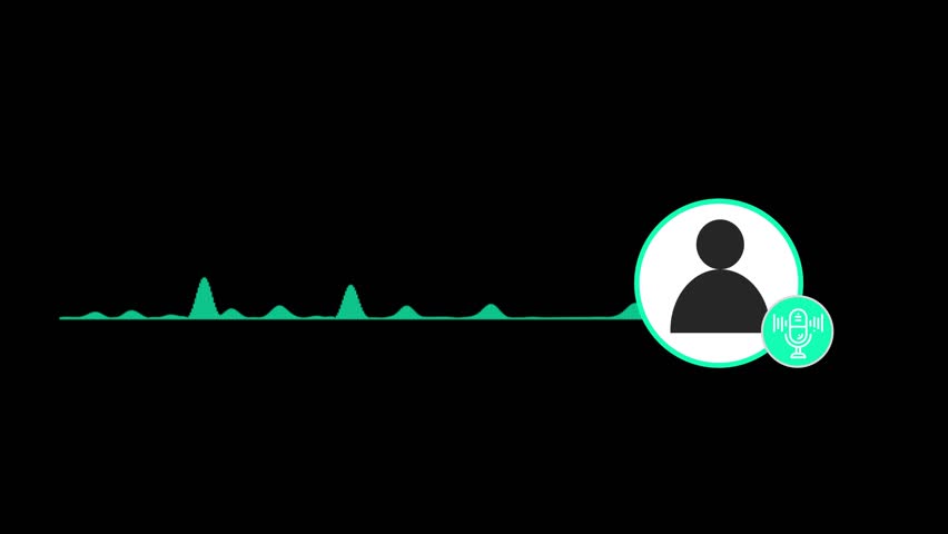 Shutterstock Video