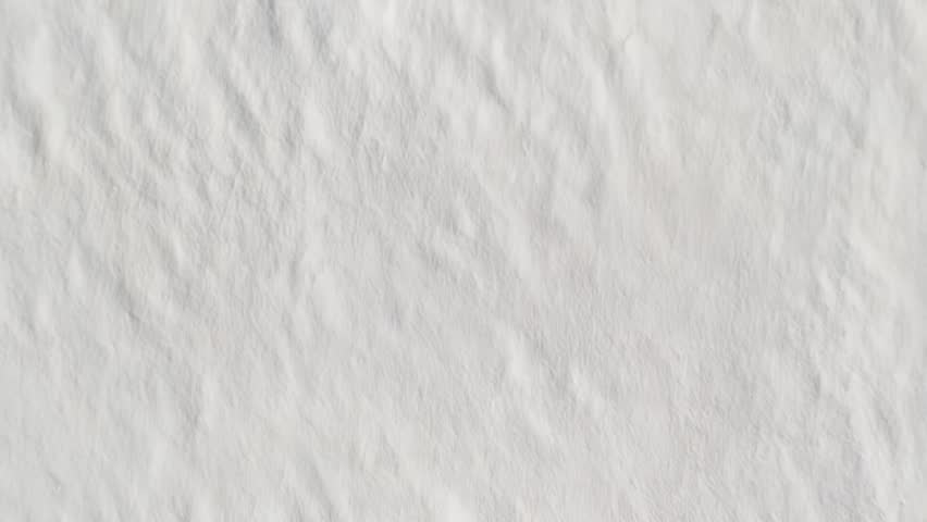 Shutterstock Video