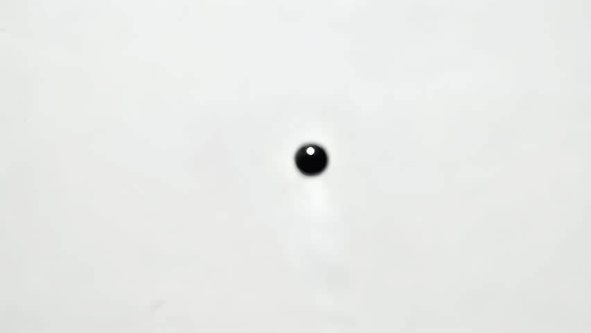 Shutterstock Video
