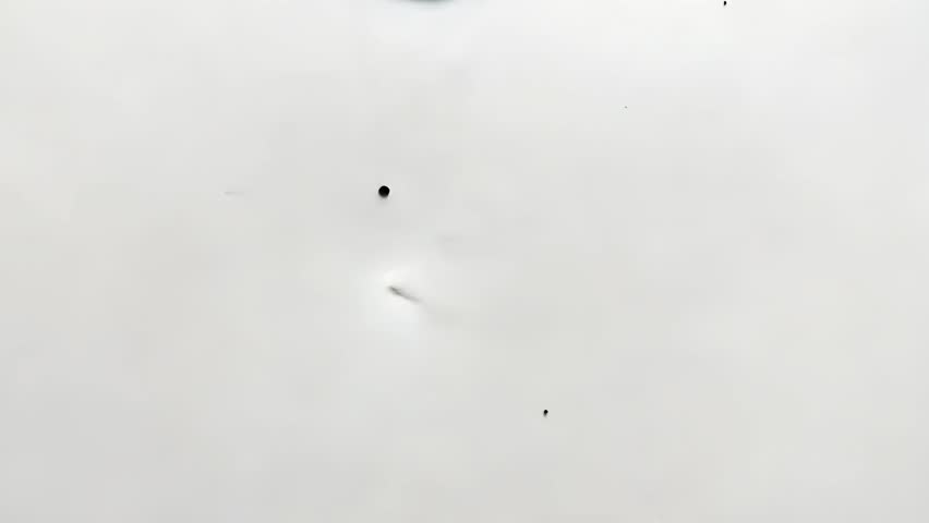 Shutterstock Video