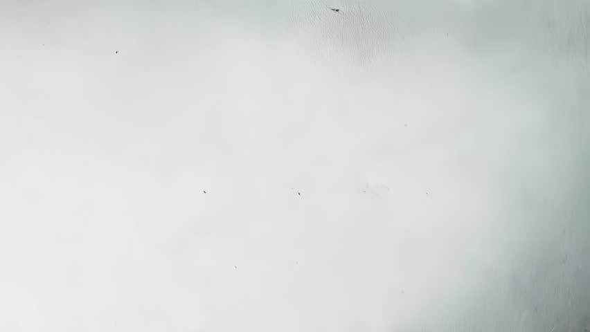 Dual-lobed ink bloom forms soft organic shape with dark core