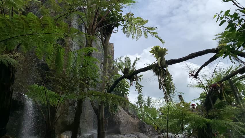  Lush Tropical Waterfall Cascading Down a Rock Face Amidst Vibrant Greenery and Ferns in a Serene Garden Setting