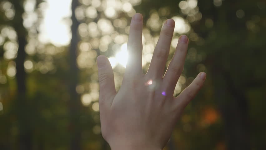 Girl Raises Her Palm Towards Rising Sun. Sun Rays Shine Through Autumn Leaves of Trees Onto Hand Between Fingers Woman. Female Hand Touching Sun, Sunlight Passing Through Fingers, Travel Nature.