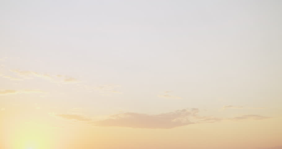 Silhouettes of grey cattle with iconic horns in warm golden sunset light. Close scenic shot with orange glow and dramatic sky over peaceful rural fields.