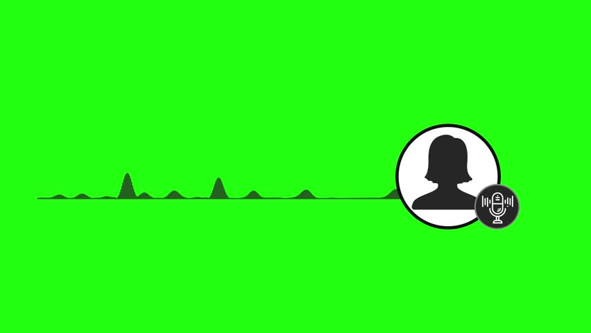Shutterstock Video