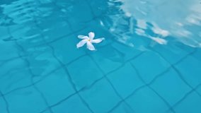 White flower bud floating in water of Bali hotel pool, close up - Powered by Shutterstock - Get 15% off with code: PIKWIZARD15