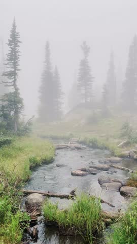 Vertical View of a Misty River Flowing Through Rocky Mountains in a Colorado National Park, Trees on the Riverbank with Breathtaking Rocky Peaks in the Background
