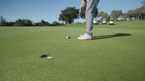 Golfer putting ball into hole on green grass golf course - Powered by Shutterstock - Get 15% off with code: PIKWIZARD15