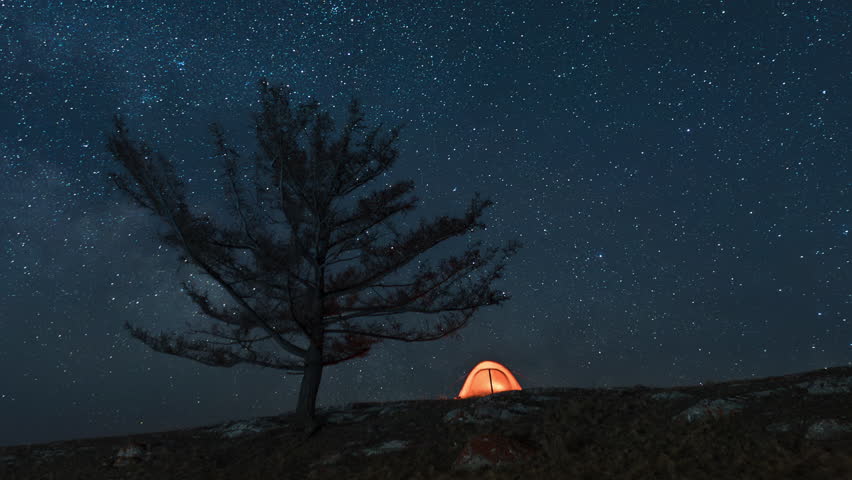 Orange tent on the slope near alone tree under moving Milky way at night