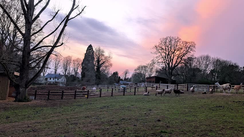 A serene sunset casting warm hues over a rural farm in the United Kingdom, showcasing diverse livestock and quaint farm buildings.