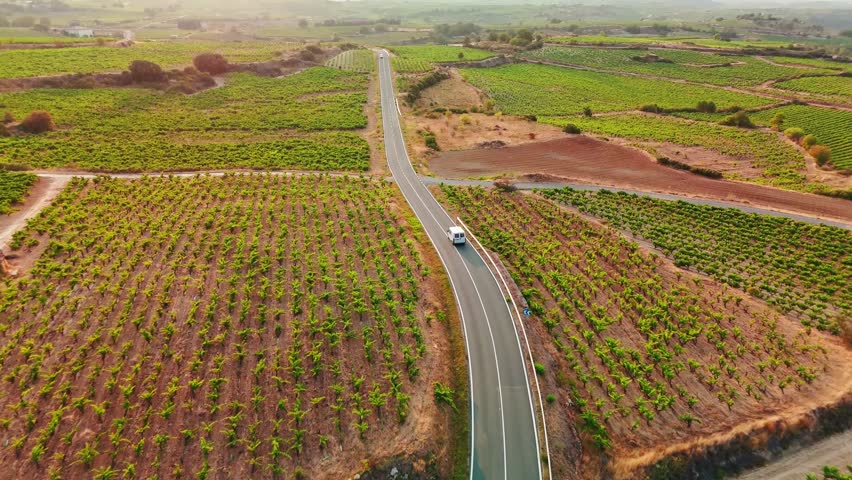 Beautiful rural road through the vineyard in Basque country, Spain, at sunset. Aerial view of endless vineyards in summer, producing the famous Spanish wine