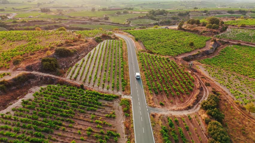 Beautiful rural road through the vineyard in Basque country, Spain, at sunset. Aerial view of endless vineyards in summer, producing the famous Spanish wine