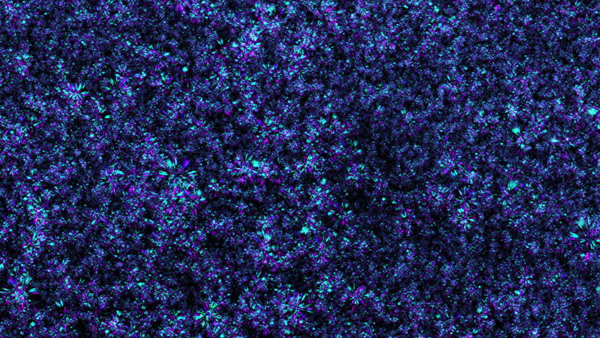 Animation loop flickering colorful pink blue dust stars particles floating to top on black abstract background. Animation of fiery blue glowing flying ember burning ash particles