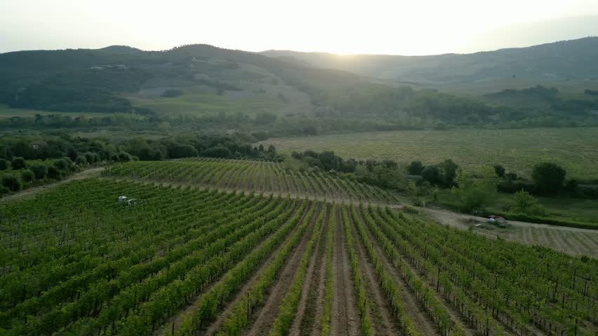 Drone over neat rows of Tuscan farmland stretching to distant hills under soft daylight