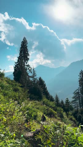 Vertical shot of High mountain meadows in Manali, Himachal Pradesh, India. Majestic mountains and tranquil clouds in summer. Himalaya mountain landscape.
