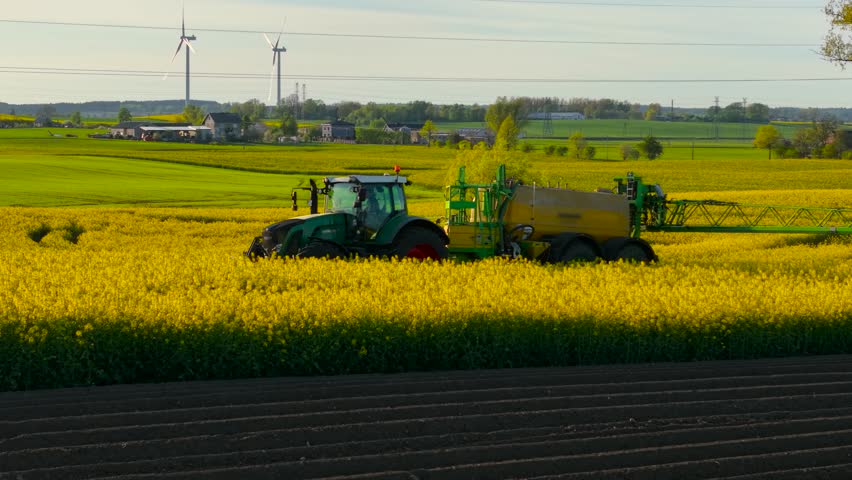 Tractor with agricultural crops sprayer spraying pesticide or fertilizer on blooming rapeseed field in rural area. Farming machine treating yellow canola plants with protective chemicals or nutrients