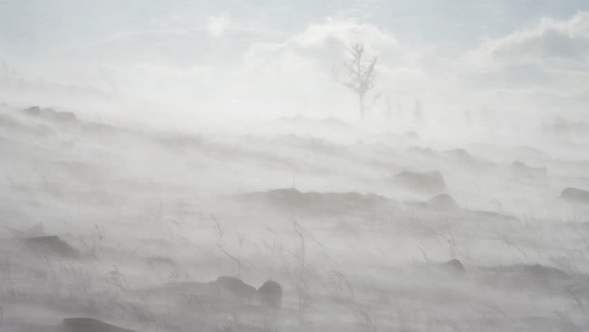Snowstorm and a winter landscape on rocky mountain slope with bare trees
