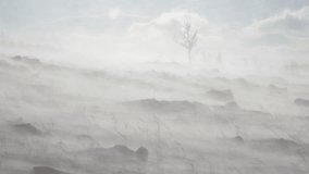 Snowstorm and a winter landscape on rocky mountain slope with bare trees - Powered by Shutterstock - Get 15% off with code: PIKWIZARD15
