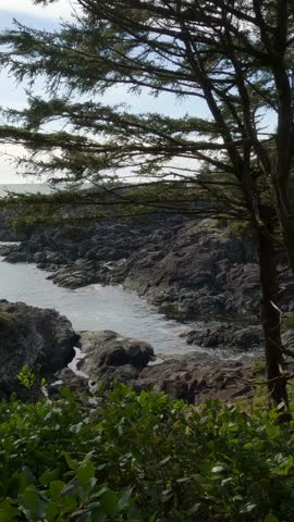 Ocean Inlet and Rocky Coastline on Vancouver Island, British Columbia