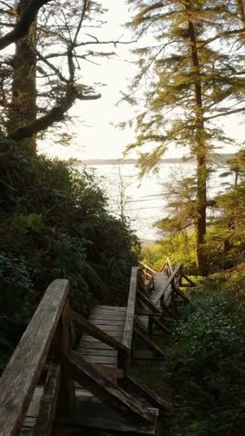 Scenic Wooden Boardwalk Leads to a Serene Beach on Vancouver Island, BC