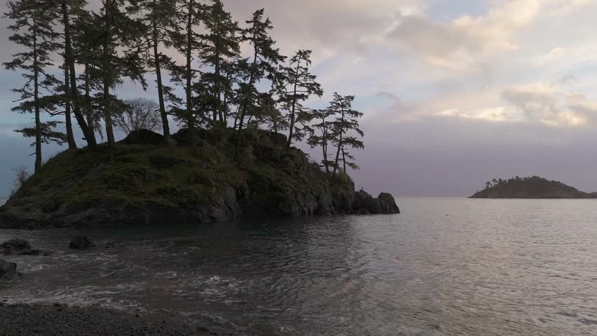 Scenic View of Trees on a Rocky Coastline at Dusk on Vancouver Island