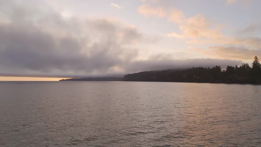 Fog Rolls Over Coastal Trees at Sunrise on Vancouver Island, BC