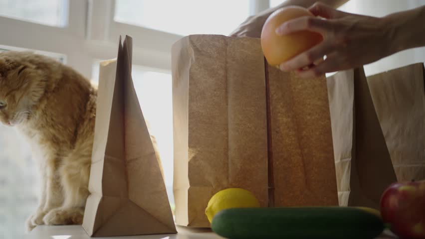 Ginger cat watching attentively while woman unpacking fresh produce from paper grocery bag, placing colorful fruits and vegetables near sunlit kitchen window