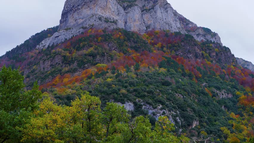 Autumn colours in the forests of the Hecho Valley. La Jacetania region. Huesca. Aragon. Spain. Europe.