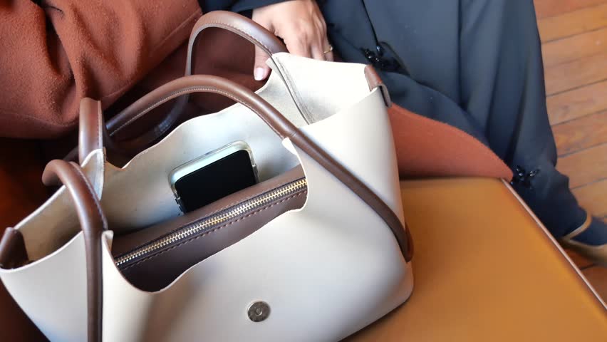 Pickpocket thief stealing wallet from woman handbag