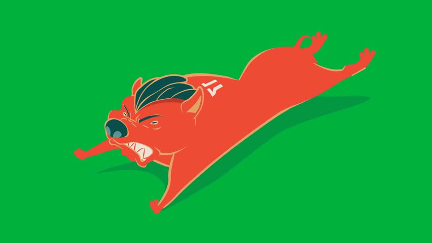 Cartoon fox sliding on a green screen, ideal for animal, children�s, or animation projects. Isolated and easy to use for stock video and chroma key editing.
