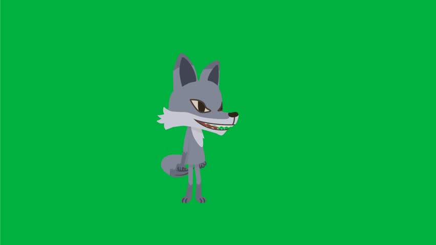 Shutterstock Video