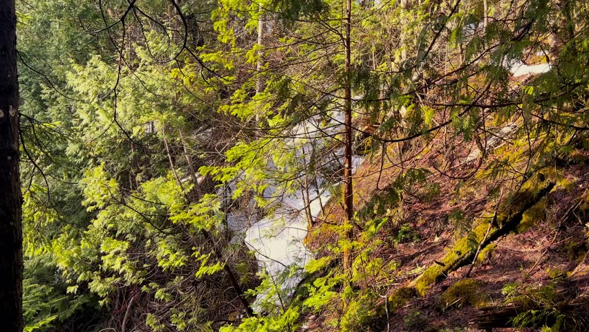 Miners Falls at Pictured Rocks National Lakeshore in Michigan during sunrise with cascading water and glowing forest scenery.