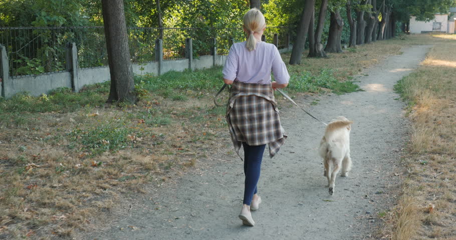 Middle-aged woman jogging with her Golden Retriever on a forest path in the morning light. High quality 4k footage