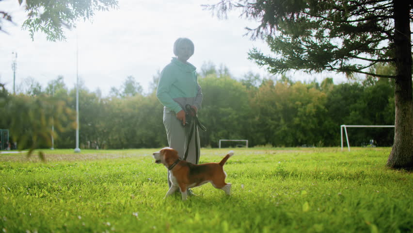 American bulldog calmly seated on grass while trainer stands holding leash during outdoor training session under bright sky surrounded by greenery with goal post visible in background