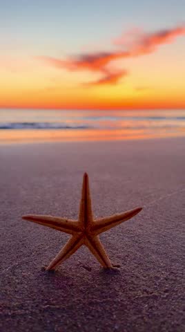 A mesmerizing starfish gracefully embedded in golden sand on a tranquil beach, kissed by the gentle waves of the sea. The vivid hues of the sunset cast a warm, amber glow