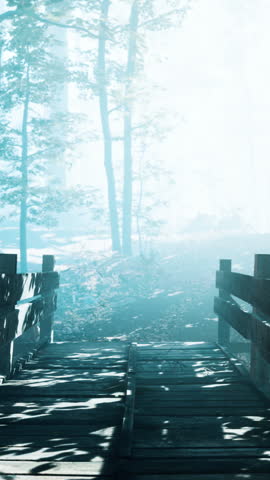 wooden bridge into forest with river