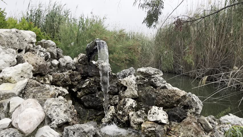 fountain in the nature, lake and reed background
