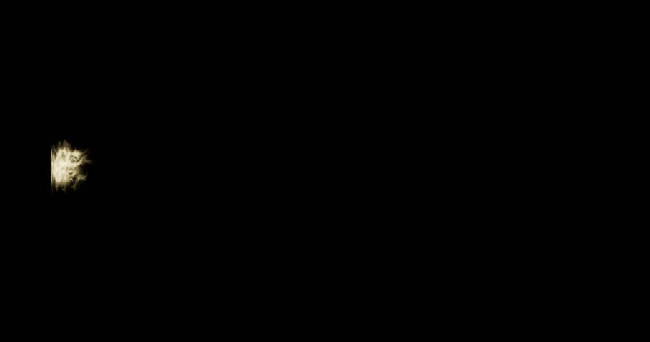 Shutterstock Video