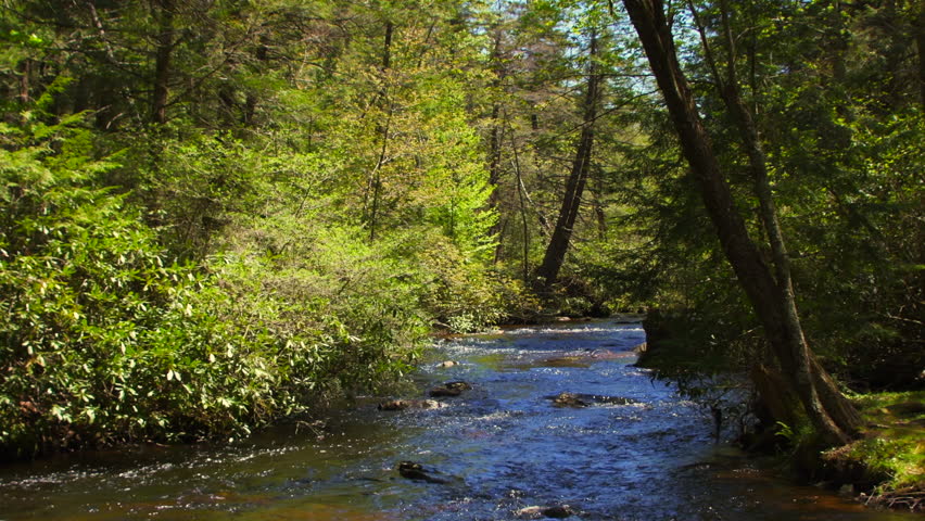 Mountain Stream in Early Spring, Pocono Mountains, Pennsylvania