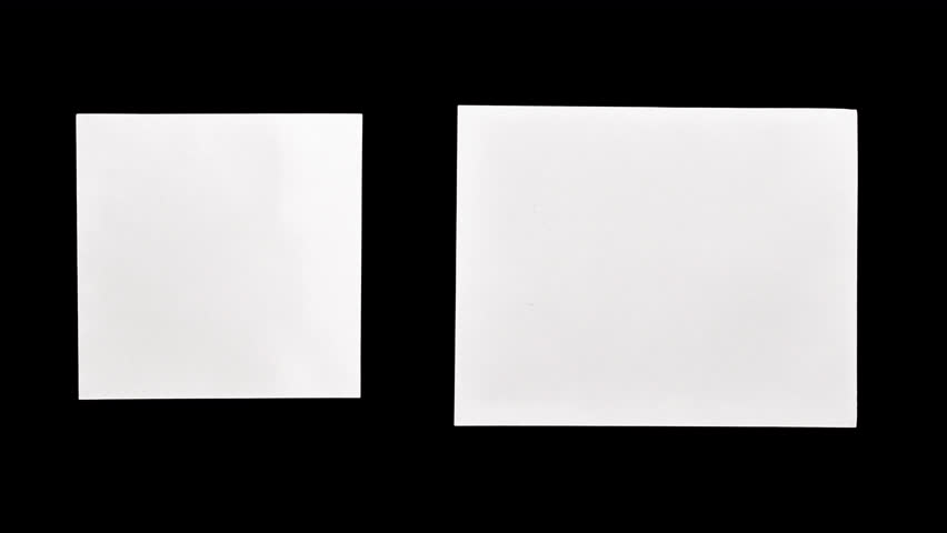 Shutterstock Video