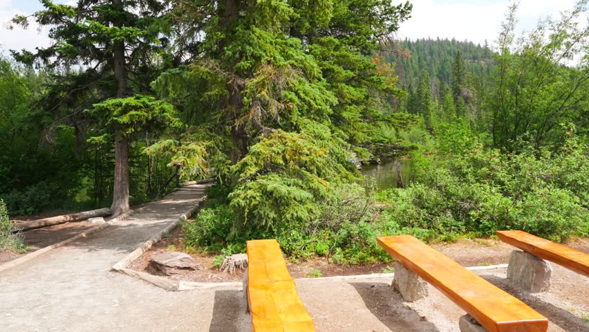 Tranquil scene of a bench by Patricia Lake, offering stunning views of Jasper’s landscape