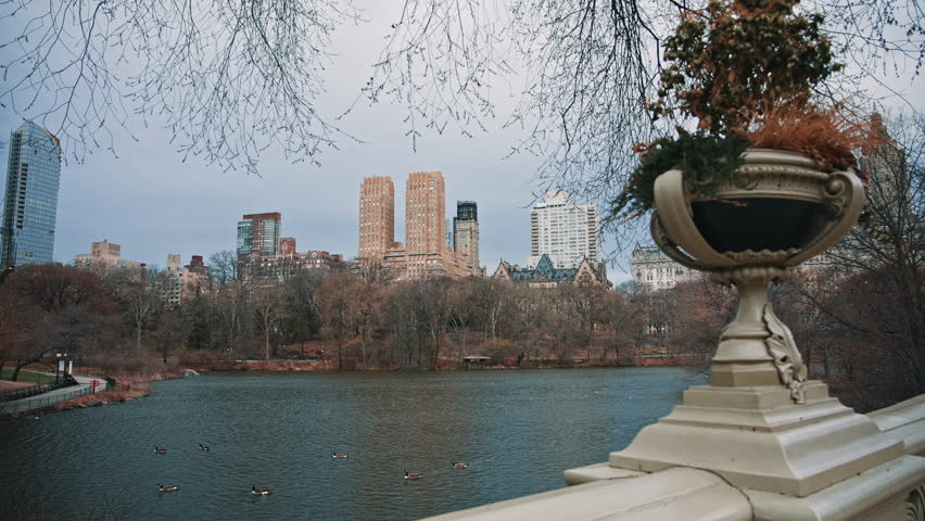Central Park Lake and Manhattan Skyline