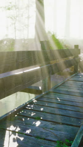 Wooden bridge in the forest in the fog