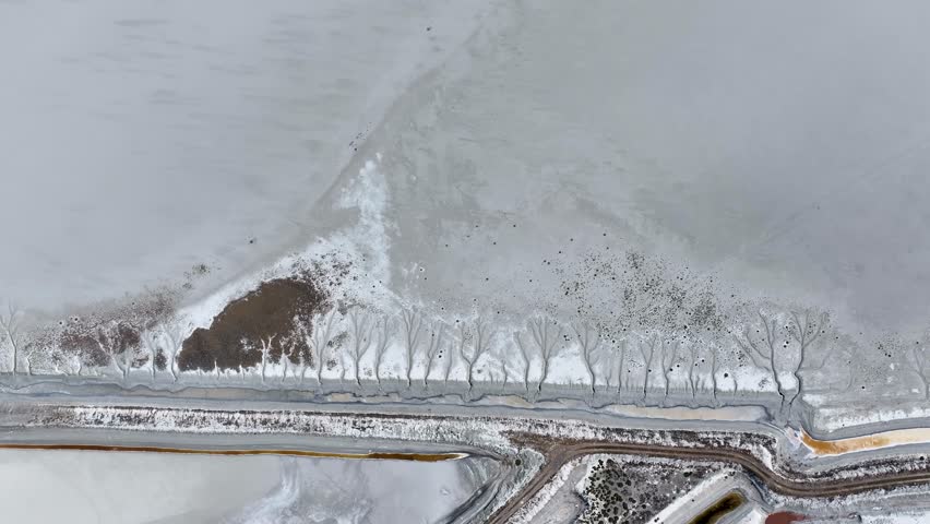 colorful WATER and tree and forest figures on the soil surface
salt lake, mineral, soda and salt mine, landforms, approaching drought, global climate crisis, aerial 4k video with drone